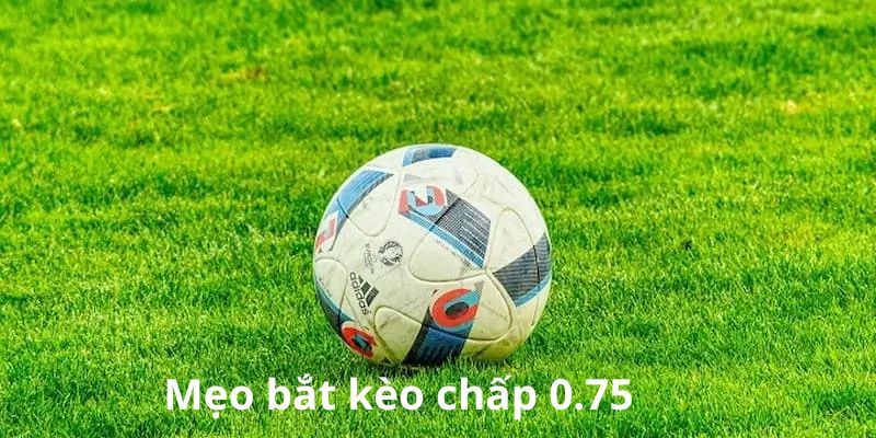 4 mẹo bắt kèo chuẩn xác và dễ thắng cho người mới áp dụng