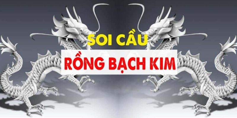 Những nét chính về phương pháp soi cầu rồng bạch kim